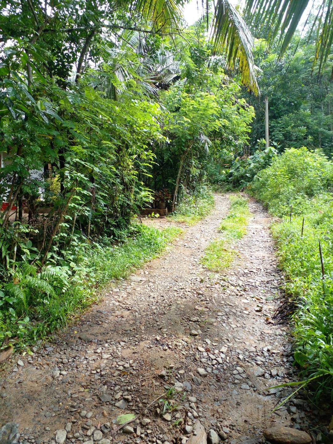 RUBBER LAND FOR SALE – WELIPENNA