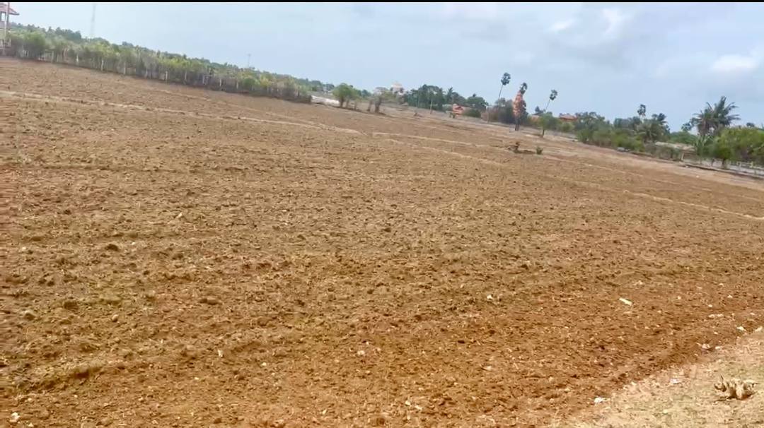 AGRICULTURAL LAND FOR SALE IN SANGARATHI, JAFFNA