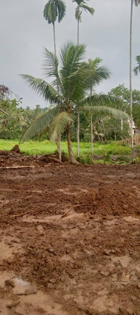 LAND FOR SALE IN GALLE