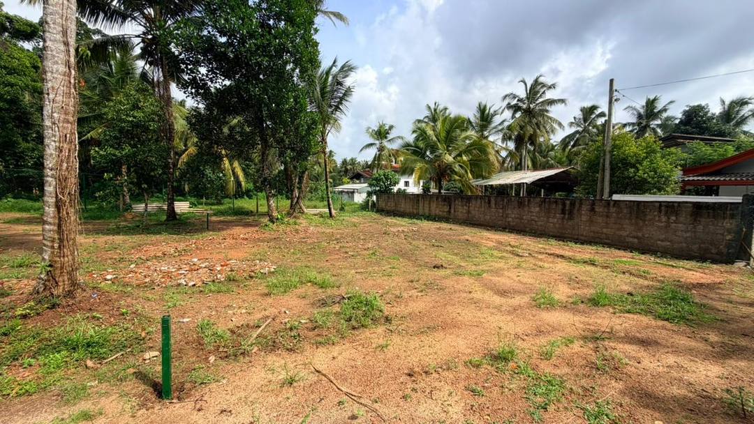 Valuable Residential Land for Sale In Athurugiriya