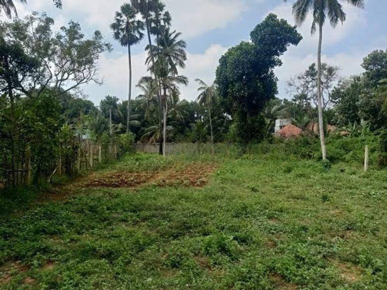LAND FOR SALE IN HINGURAKGODA