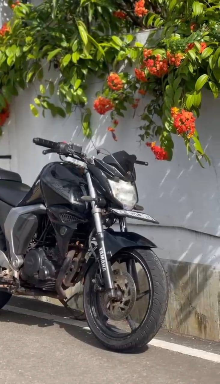 YAMAHA FZ-S V2 2016
