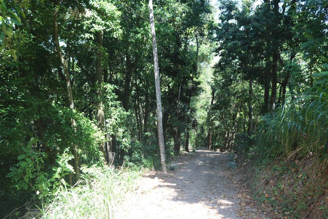 PRIME LAND FOR SALE IN AMPITIYA, KANDY