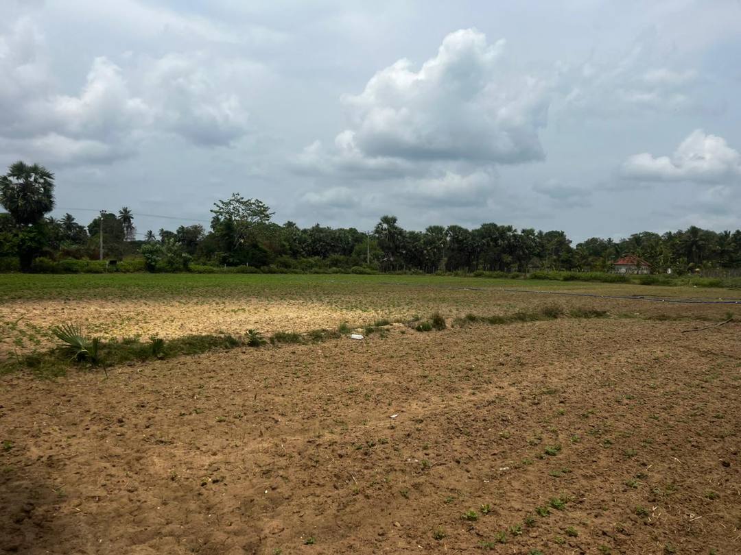 Land for Sale In Mullaitivu
