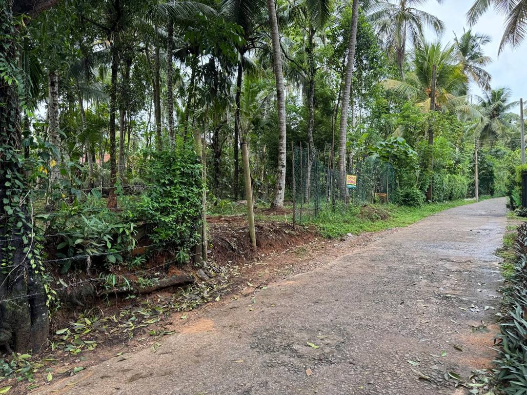 LAND FOR SALE IN KADAWATHA