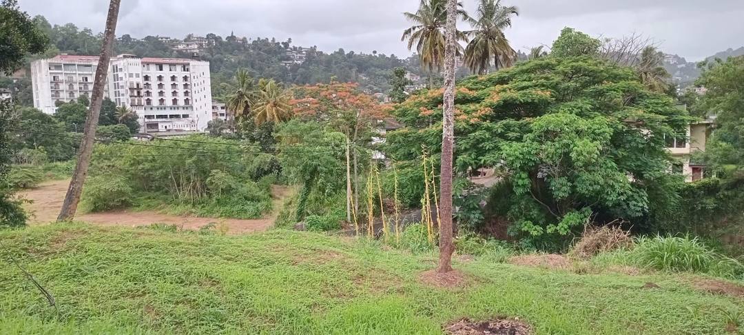 PRIME RESIDENTIAL LAND FOR SALE IN BODHIYANGANA ROAD, KANDY