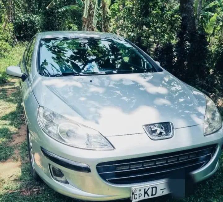 Peugeot 407 2007