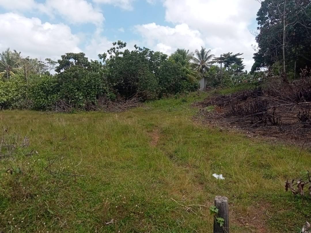 LAND PLOTS FOR SALE IN NEW CITY LAND SCHEME, ALUTHGAMA