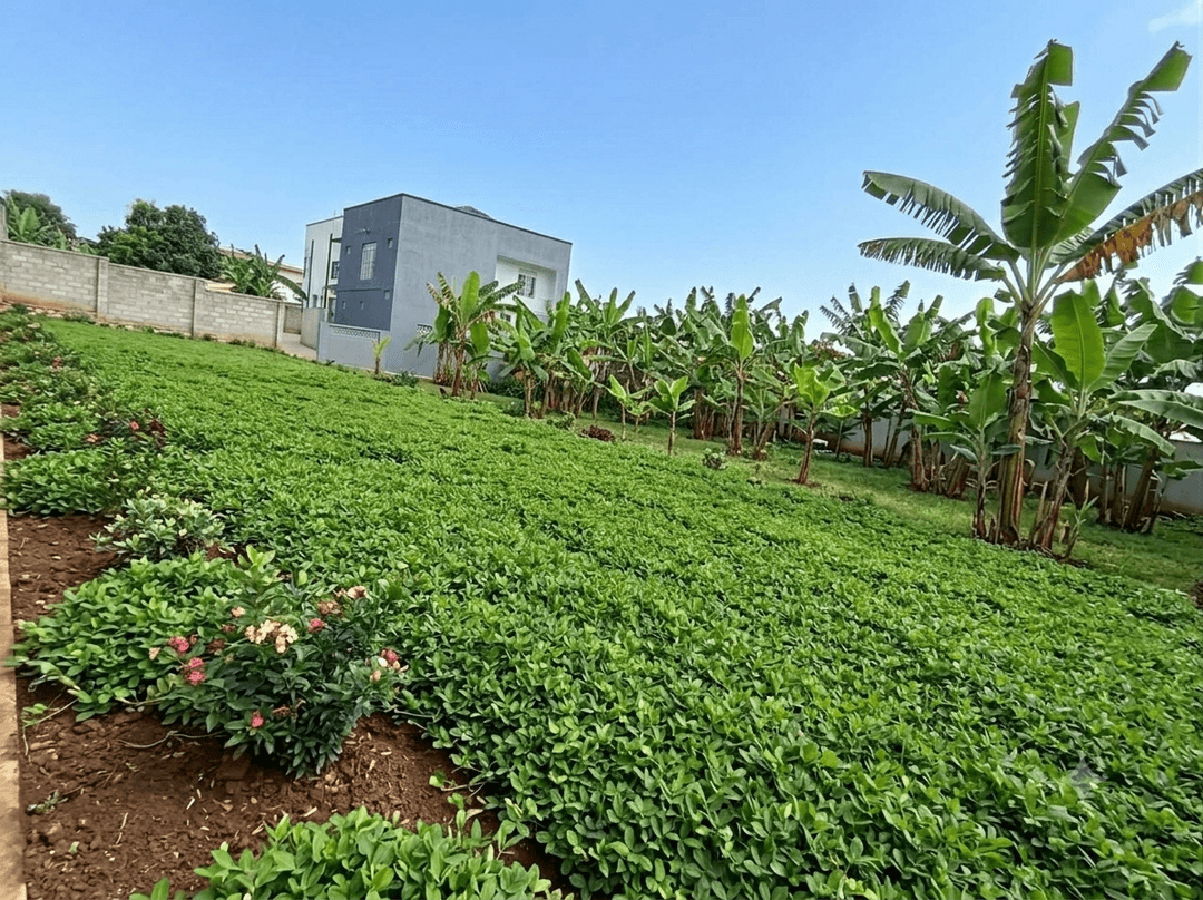 Valuable Land for Sale in Colombo,IDH