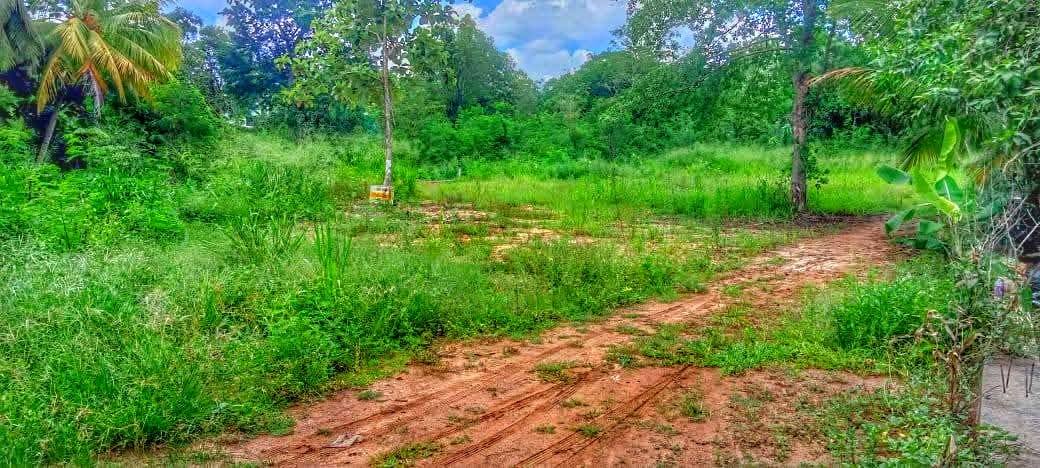 WELLAWAYA TOWN LAND FOR SALE