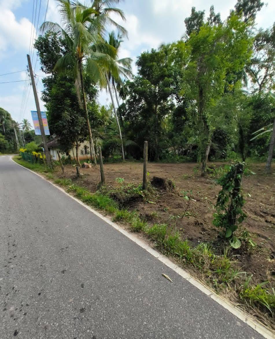 Land for sale in Naranowita, Elpitiya