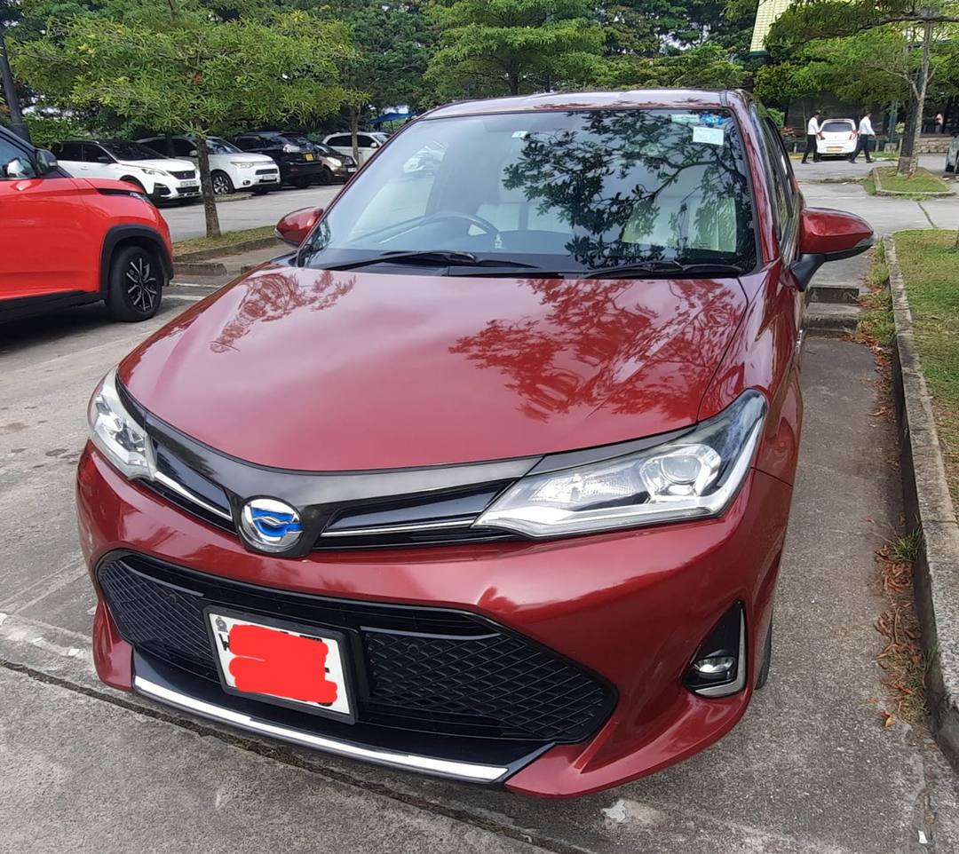 Toyota Axio WXB 2018