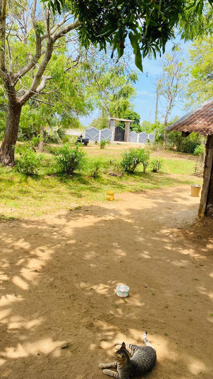 LAND FOR SALE IN VAVUNIYA