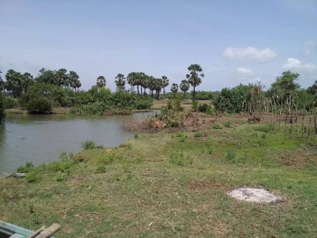 Prime Riverfront Land for Sale In Kinniya, Trincomalee