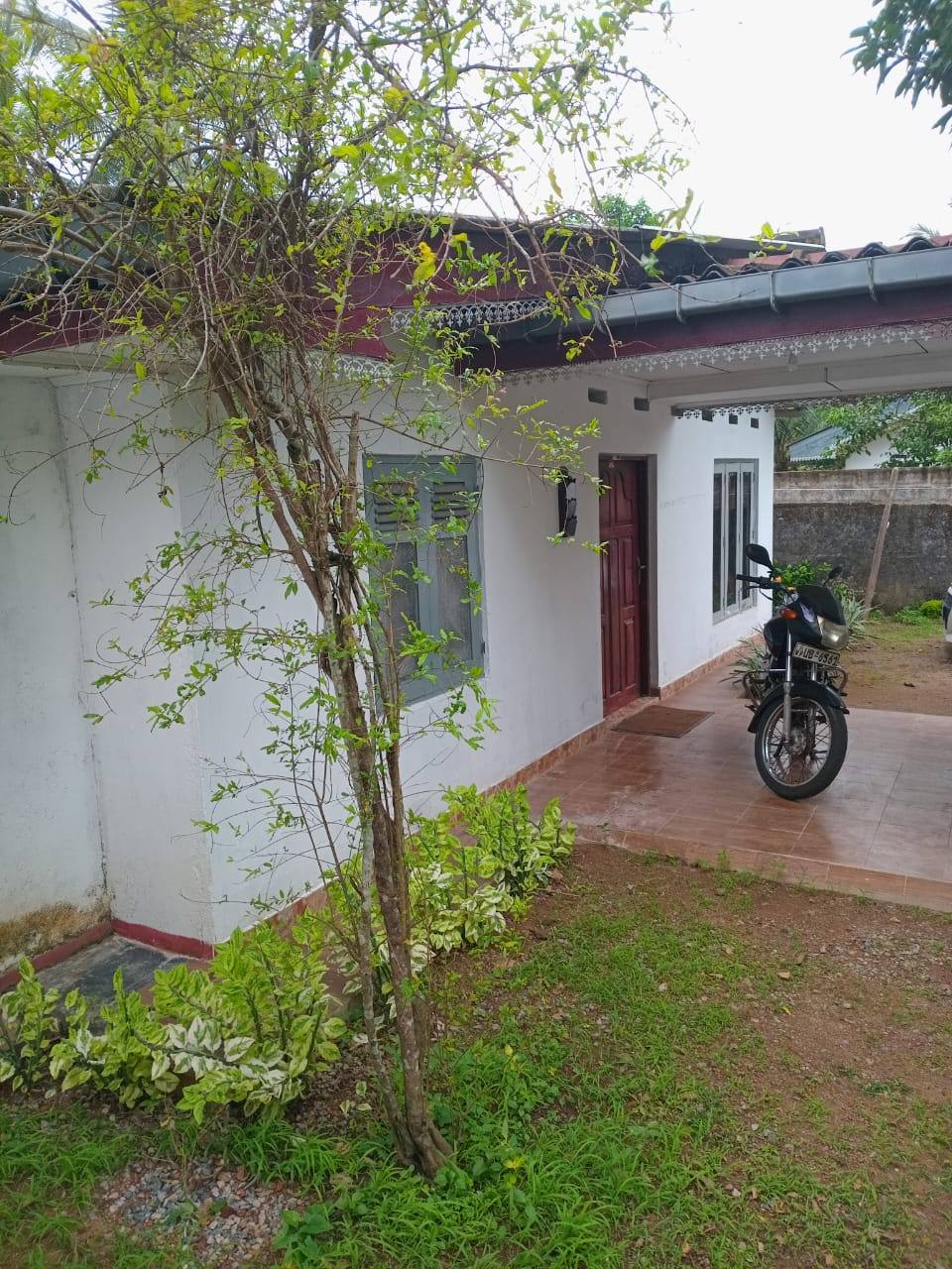 LAND WITH HOUSE FOR SALE - PILIYANDALA