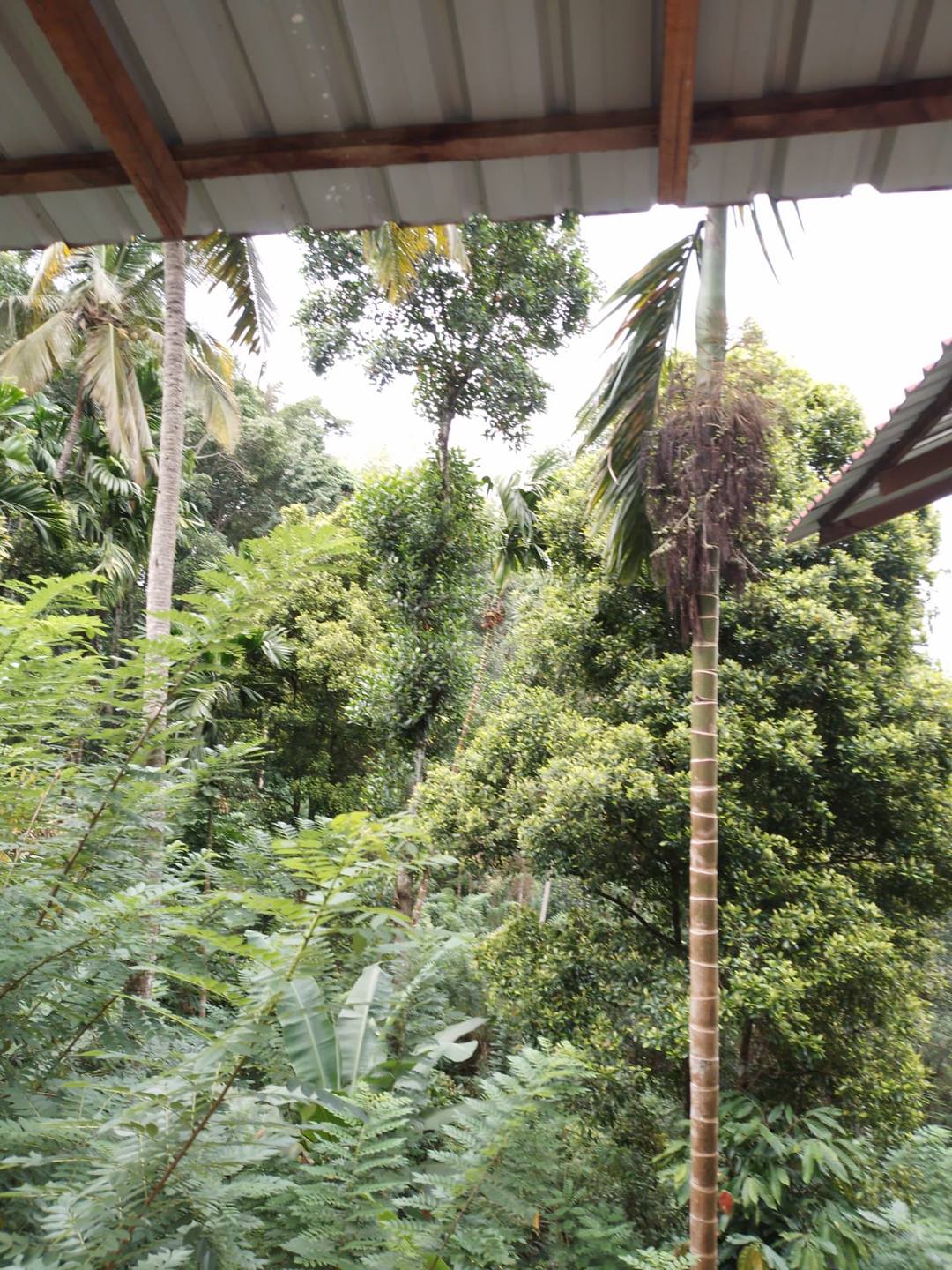 LAND WITH HOUSE FOR SALE IN KATUGASTOTA