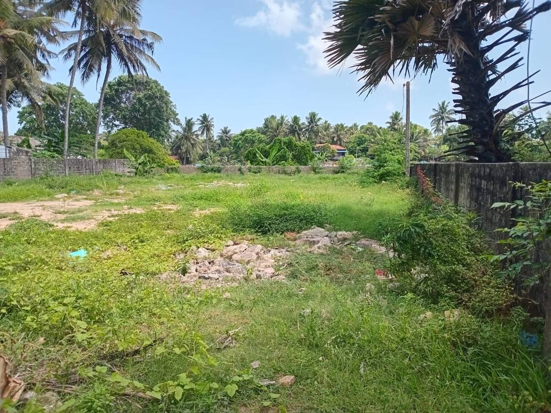Commercial Land For Sale In Jaffna