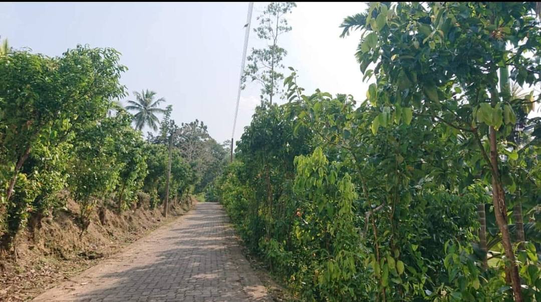 Land with bungalow for sale in Kamburupitiya
