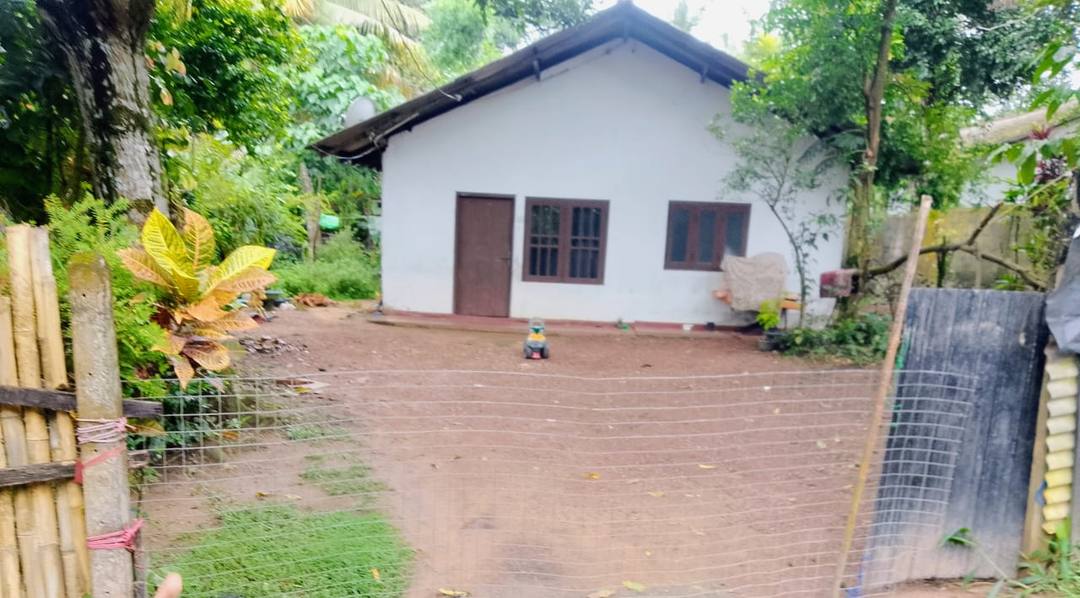 LAND WITH HOUSE FOR SALE IN PILIYANDALA