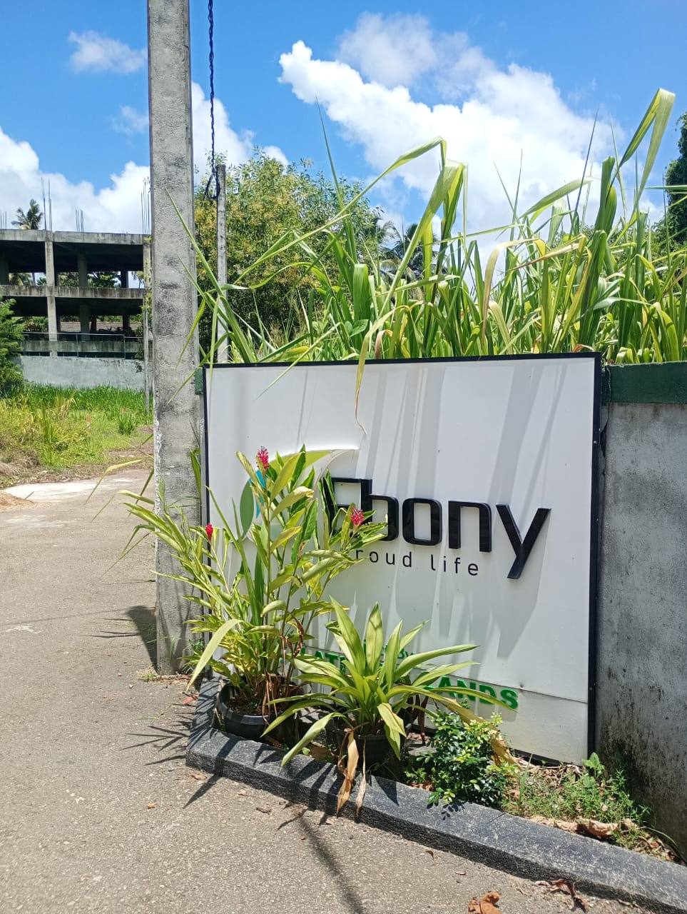 LAND FOR SALE – PILIYANDALA