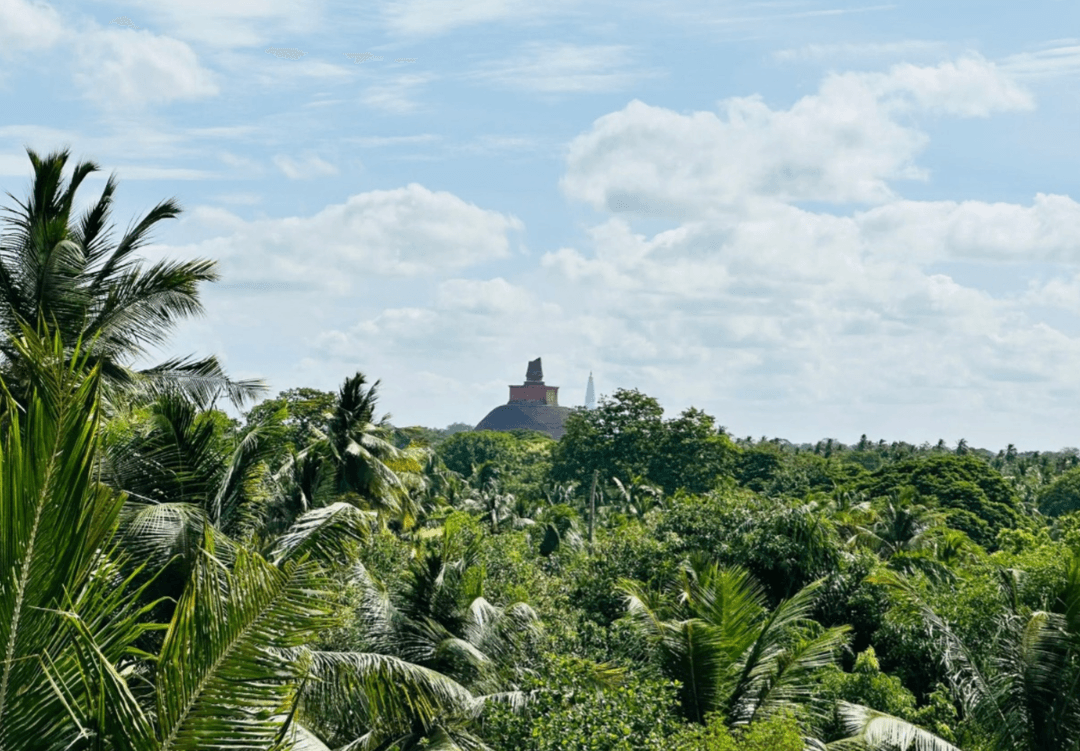 PRIME COMMERCIAL BUILDING FOR SALE IN ANURADHAPURA