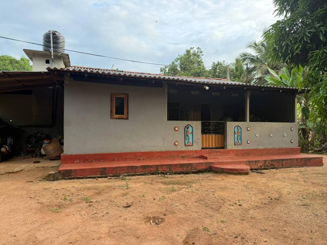 House with Agricultural Land for Sale