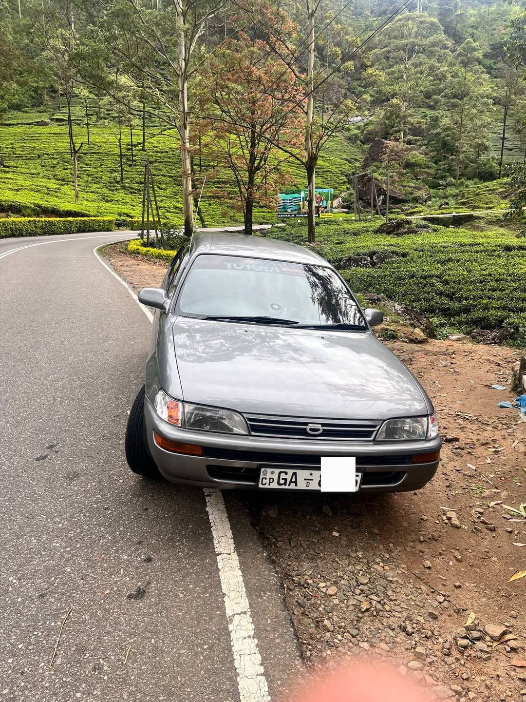 TOYOTA BLACK ELEPHANT 1997