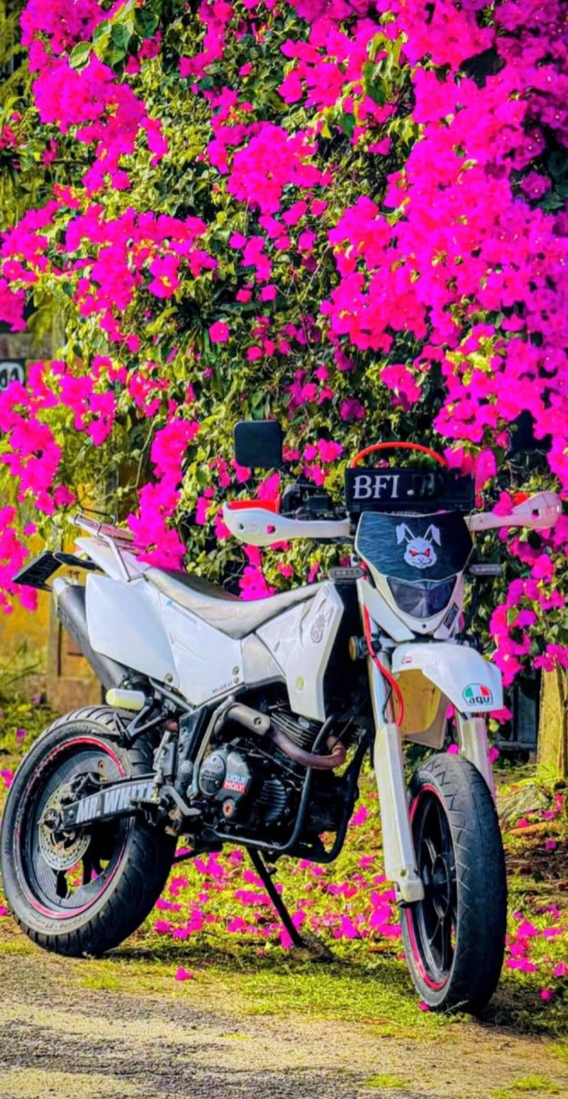 Demak DTM 150 2017