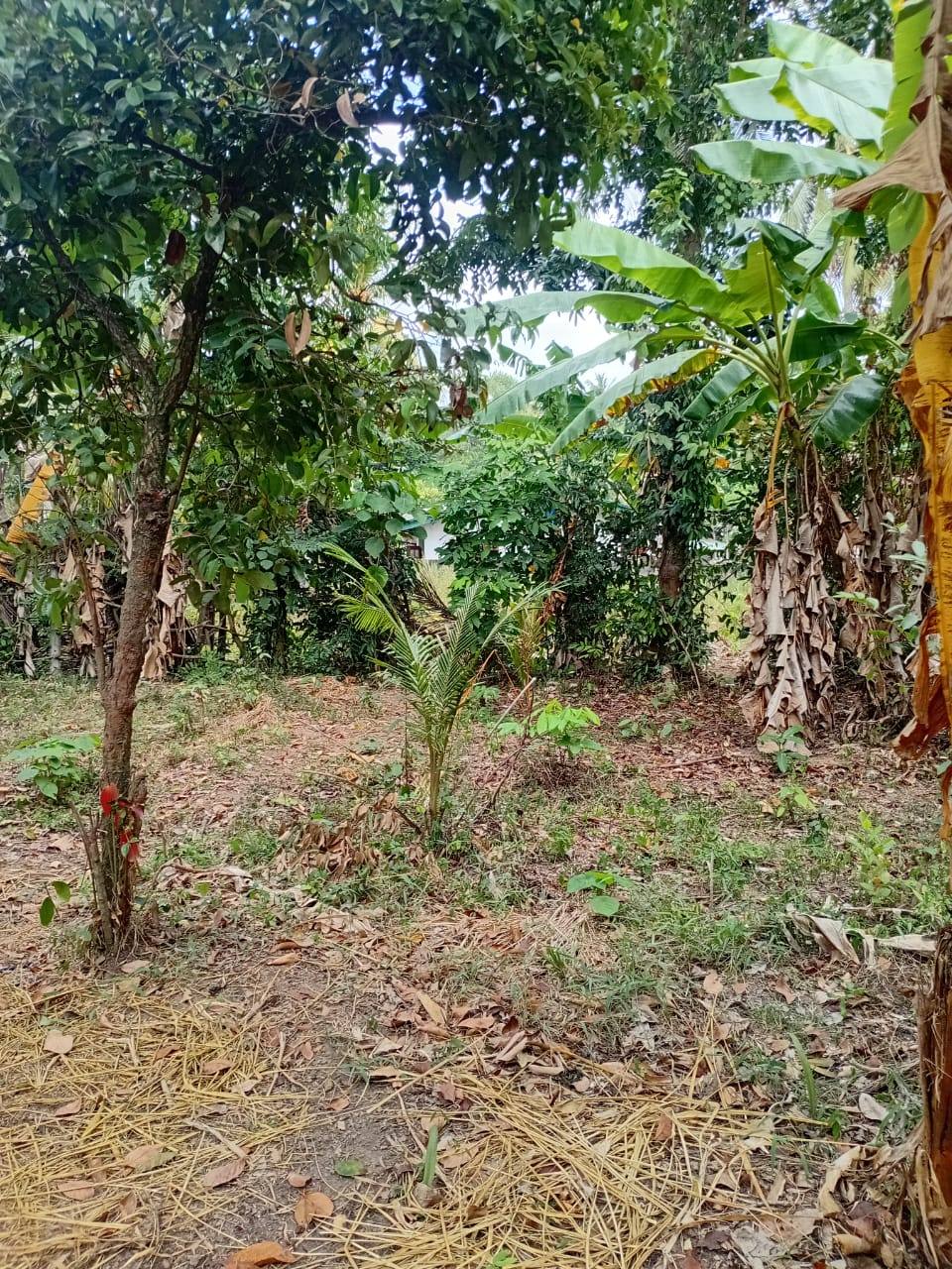 16.9-PERCH LAND FOR SALE IN GANEMULLA