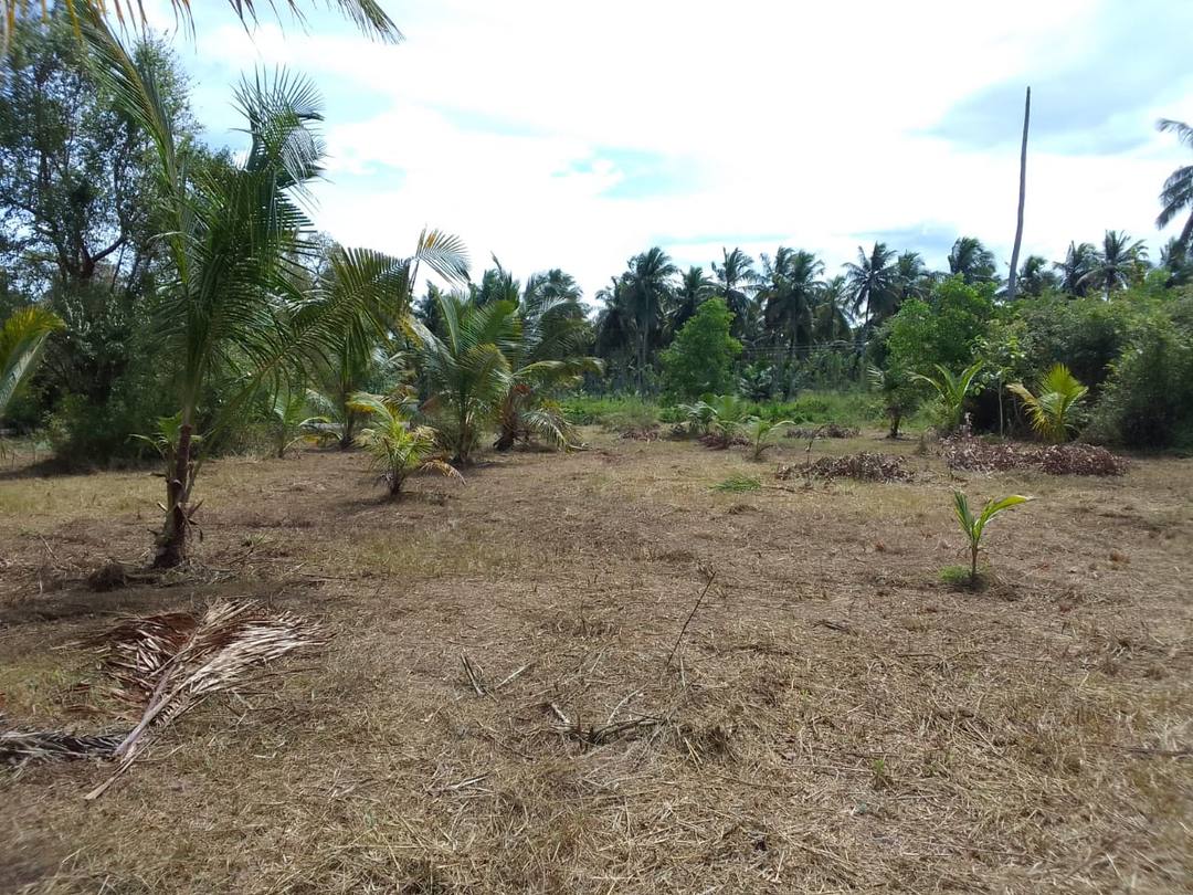 Prime Land for Sale In Anamaduwa