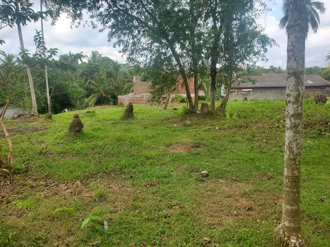 79-PERCH LAND FOR SALE IN KUMBUKA, HORANA