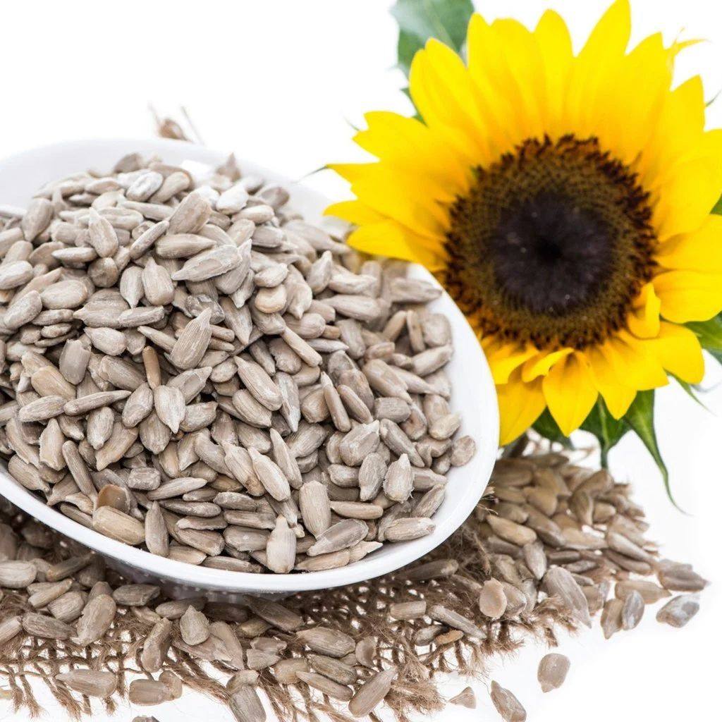 SUNFLOWER SEEDS – 100g