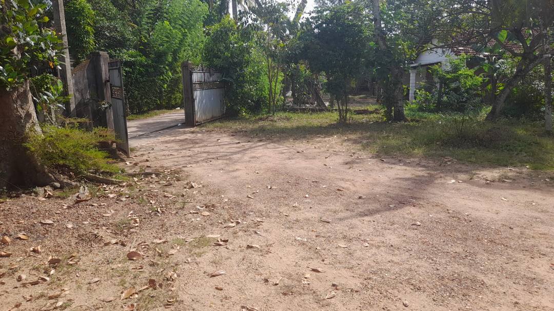 Valuable Land for Sale In Ganemulla
