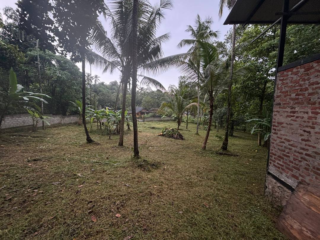 LAND FOR SALE – TAMMITA, GAMPAHA