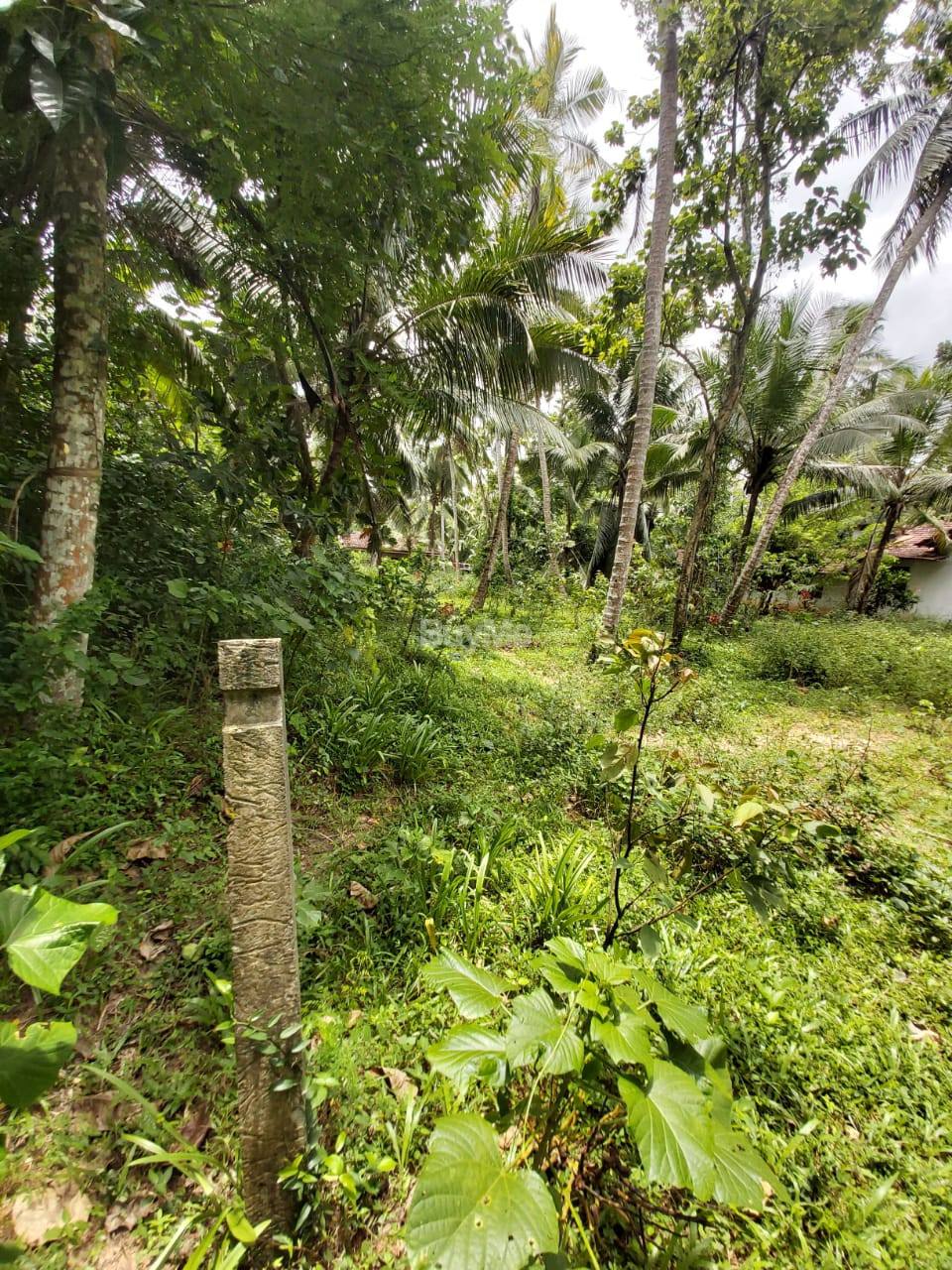Land for sale in Badalgama