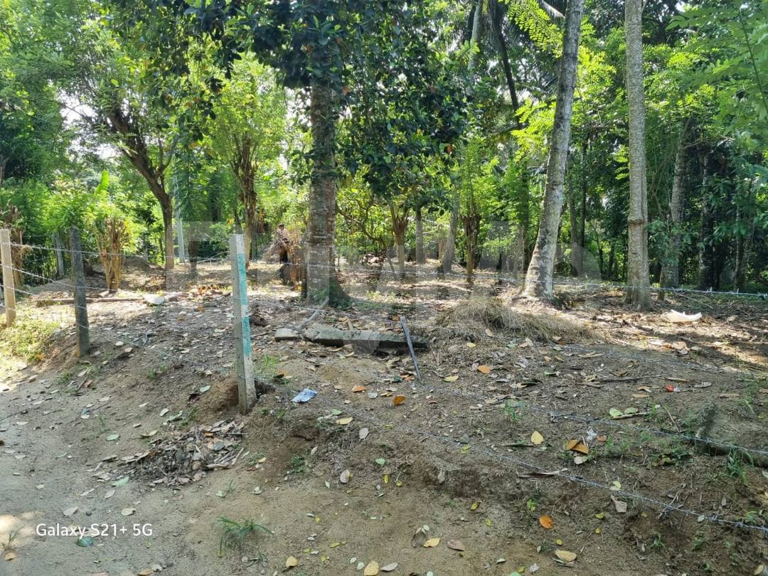 A FLAT LAND FOR SALE IN KUNDASALE, KANDY