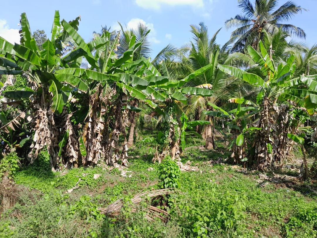 LAND FOR SALE IN ANURADHAPURA