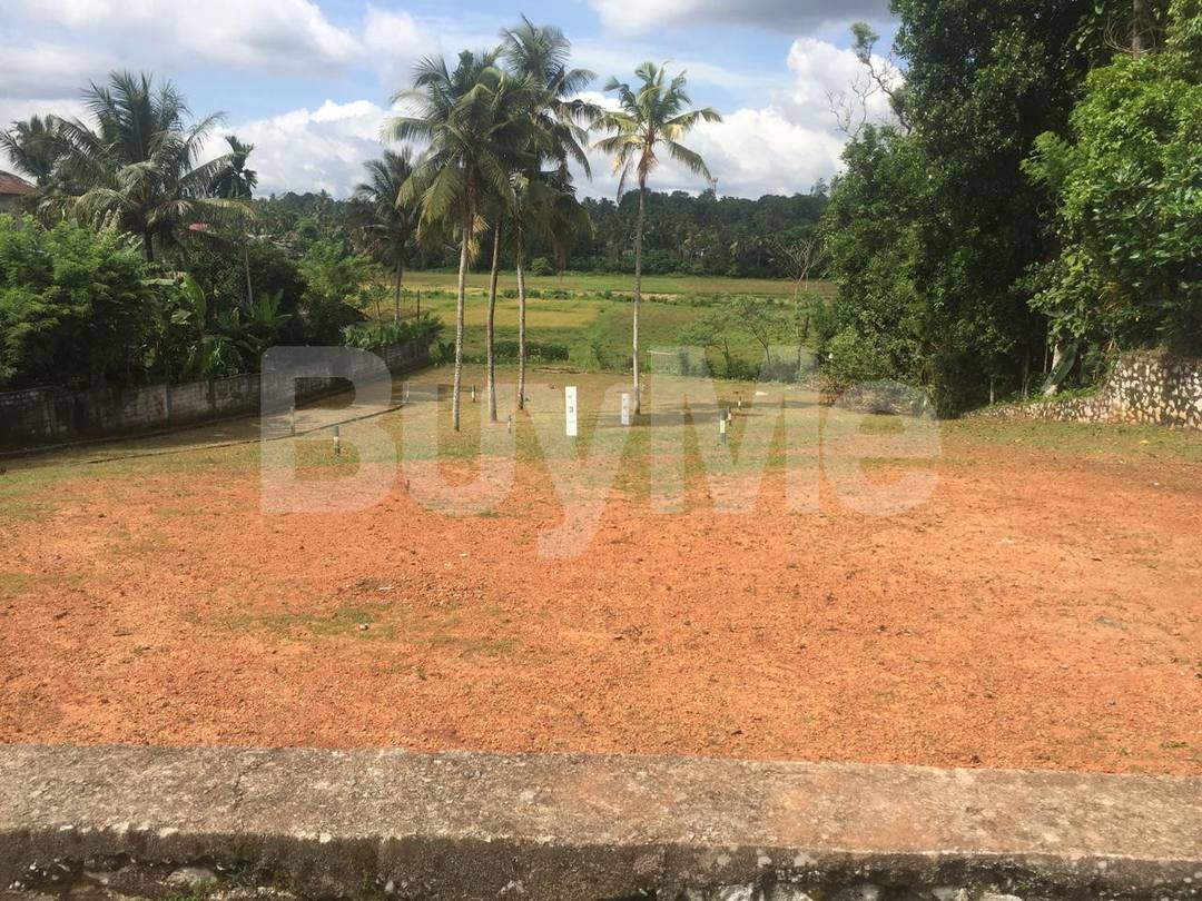 LAND FOR SALE IN WELIVERIYA - RAN NIYARA  BY SAVI LANDS