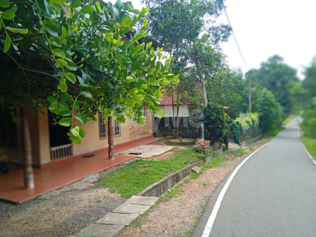 HOUSE FOR IMMEDIATLY SALE IN PUWAKDOLA