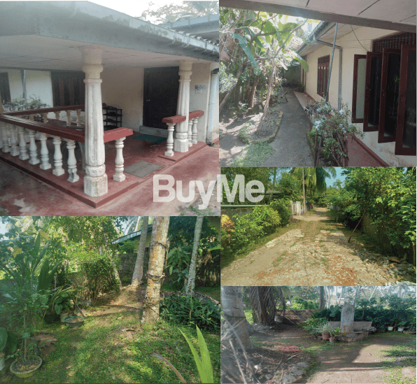 LAND FOR SALE WITH AN OLD HOUSE