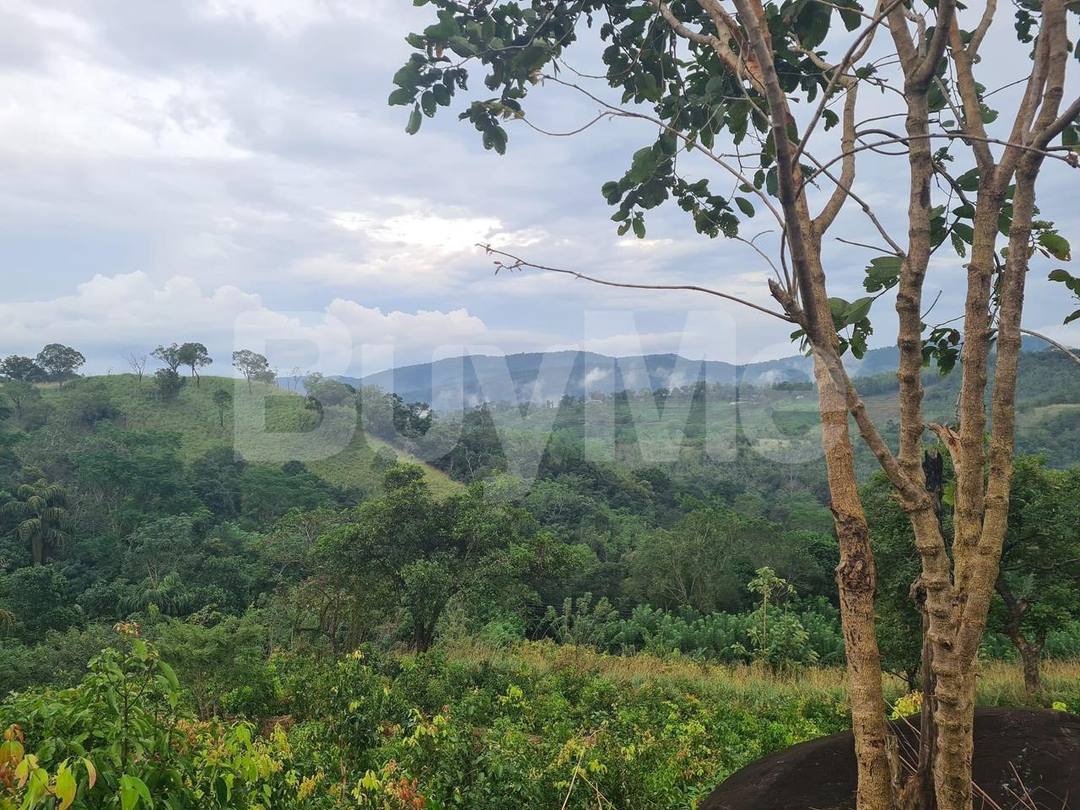LAND FOR SALE IN NIKAPOTHA HAPUTALE