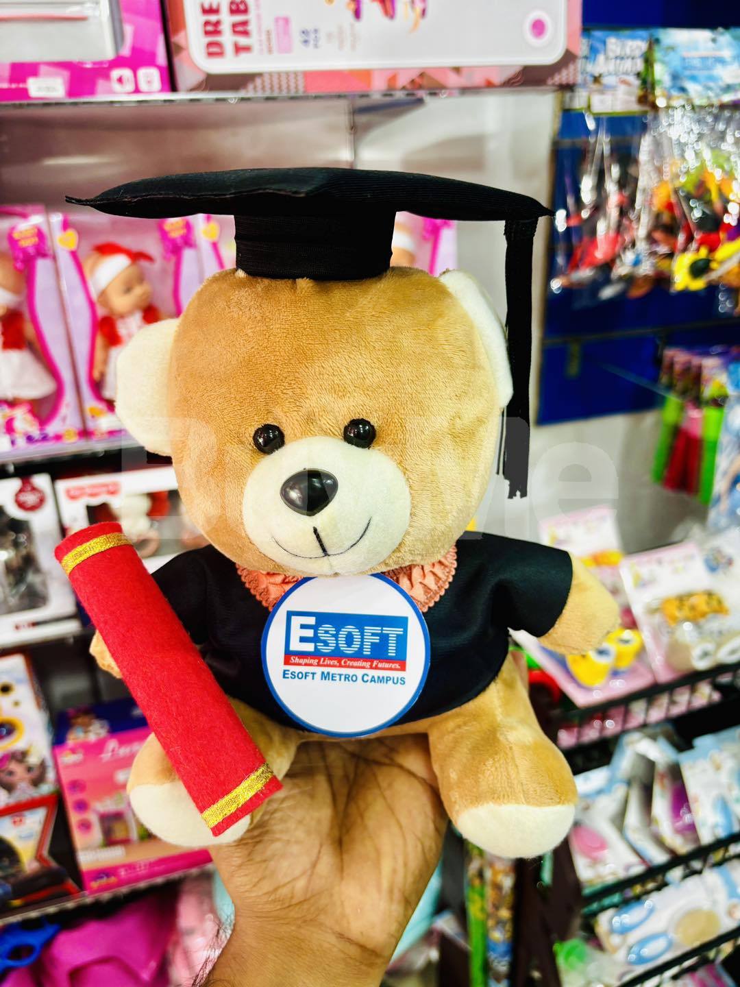 UNIVERSITY CONVOCATION TEDDY BEAR GIFTS (24CM)