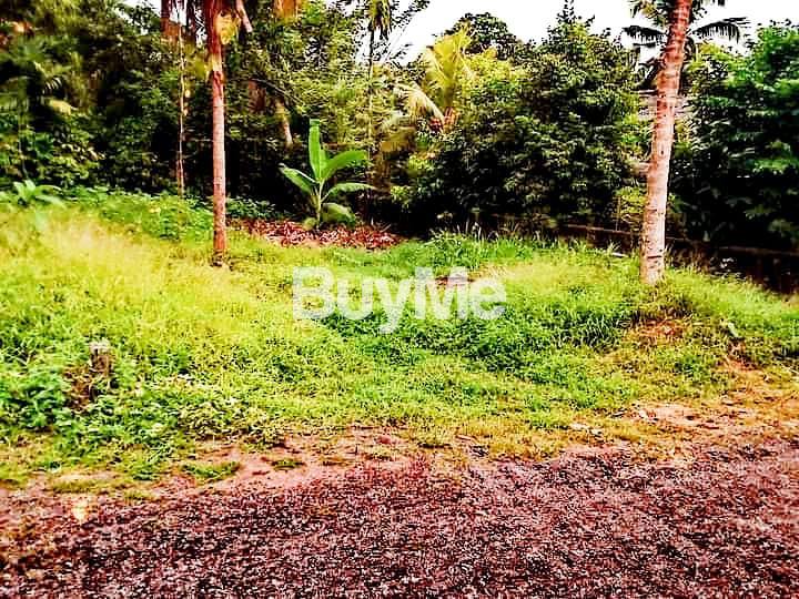 LAND FOR SALE IN MALABE, SUSILARAMA ROAD