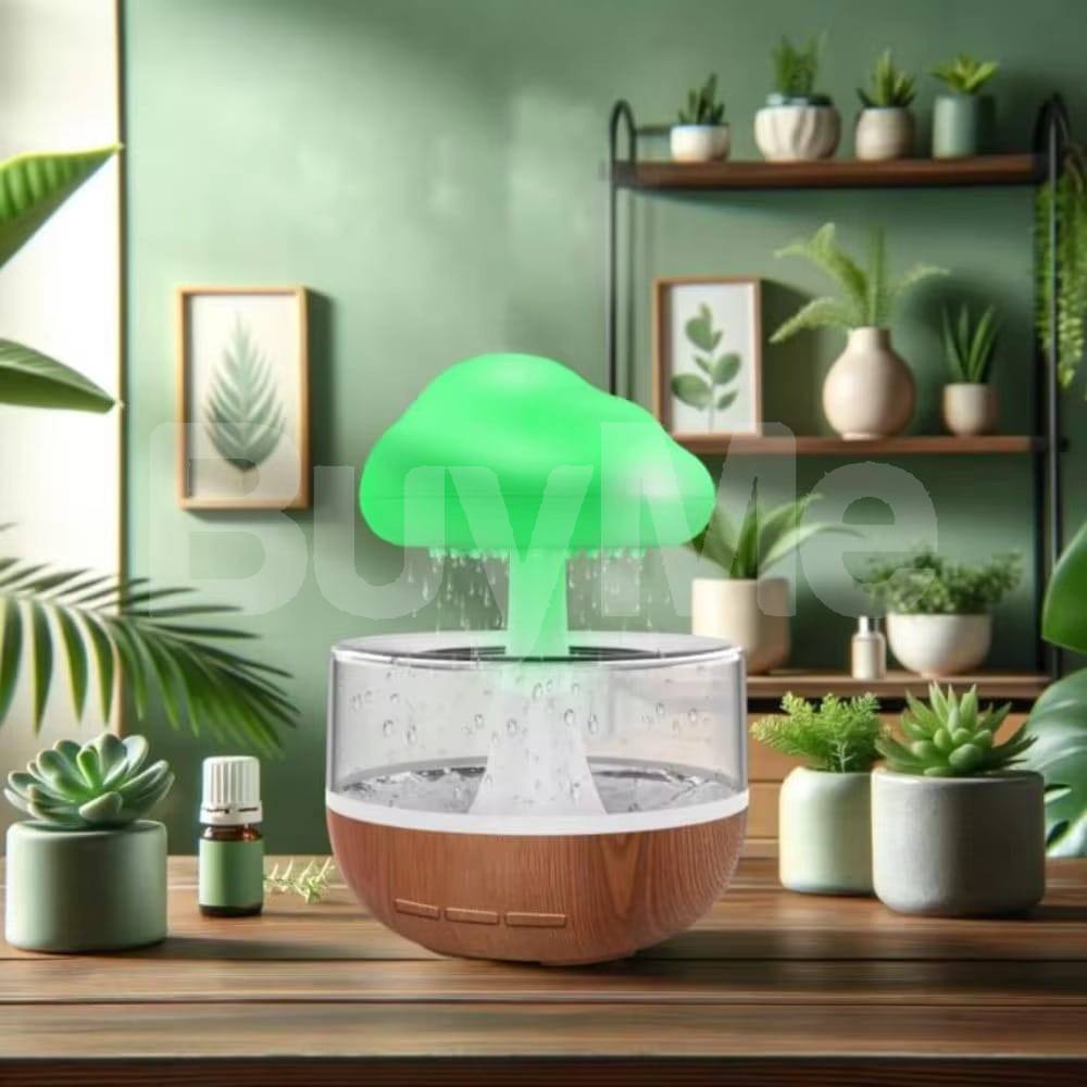 RAIN CLOUD HUMIDIFIER (P04753)