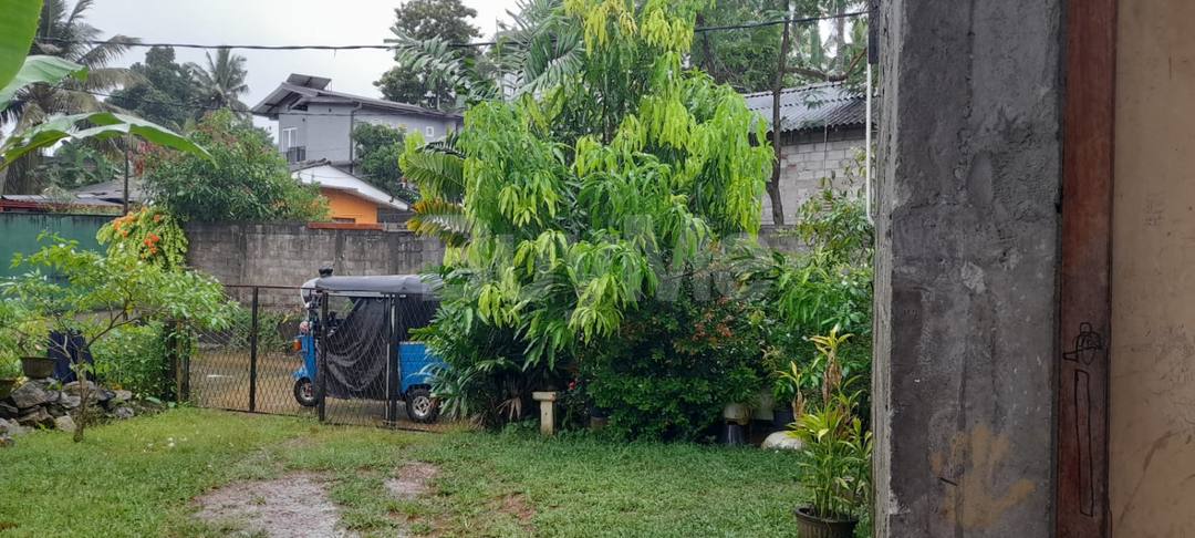 පන්නිපිටියෙන් අඩක් නිමකළ නිවස සහිත පර්චස් 6.7ක ඉඩමක් විකිණීමට