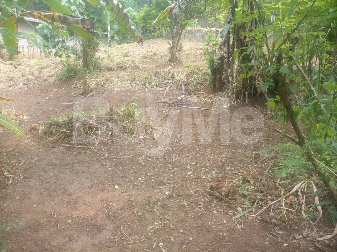 LAND FOR SALE IN PILIMATHALAWA TOWN, KANDY