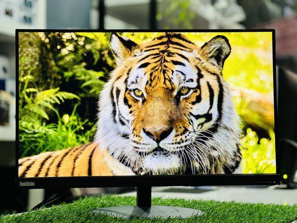 LENOVO IPS FRAMELESS MONITOR