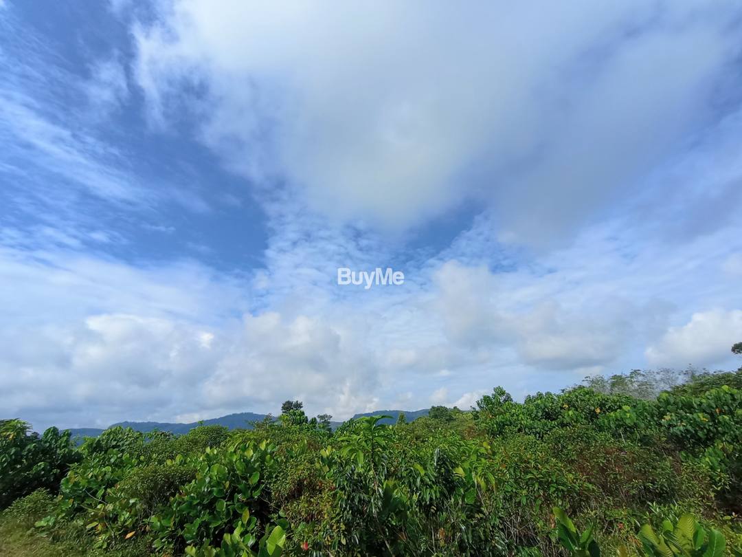 MOUNTAIN VIEW BARE LAND NEAR 1 KM FROM COLOMBO - RATHNAPURA MAIN ROAD