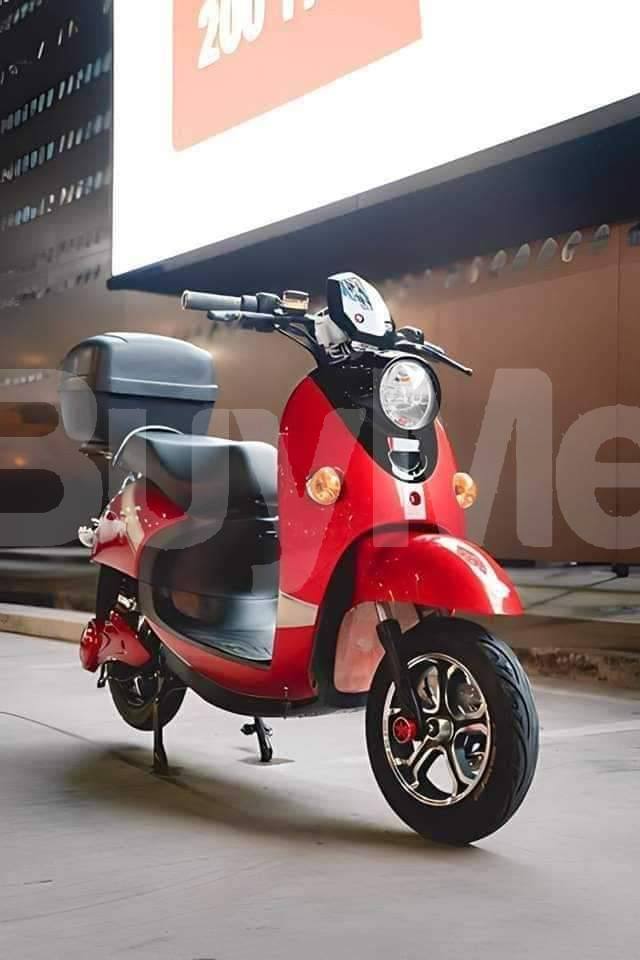 800W ELECTRIC BIKE - 2023