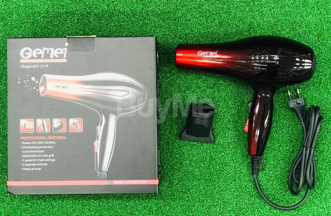 GEMEI 1719 HAIR DRYER FOR SALE